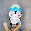 おおまぴょん